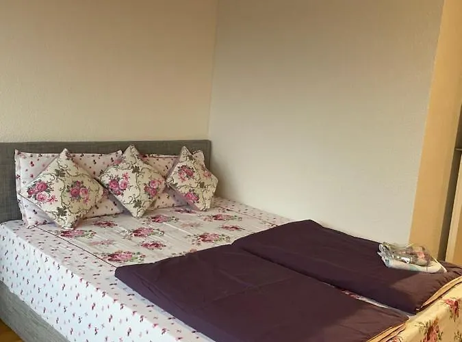 Flyhigh 斯图加特